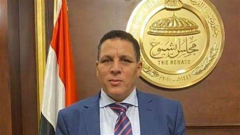 النائب أحمد محسن