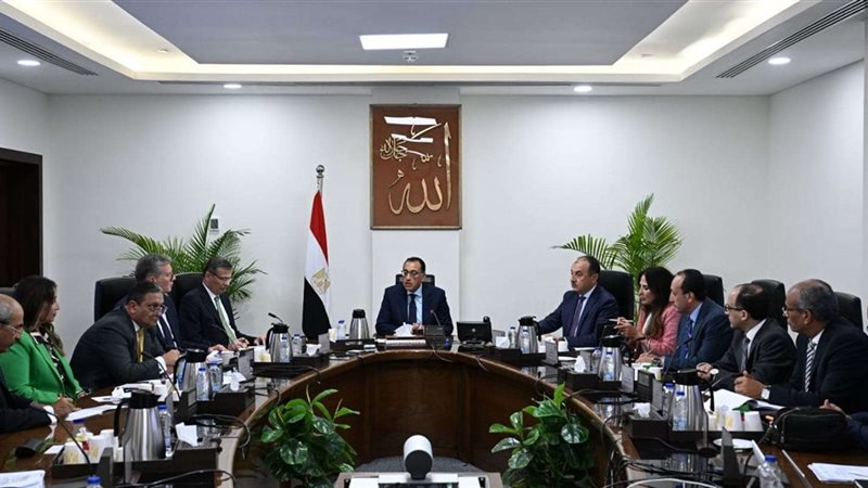 جانب من اجتماع الحكومة