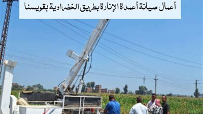 محافظ المنوفية: إنارة طريق الخضراوية بقويسنا وتسوية وتمهيد طريق أشمون الكوادي (صور )