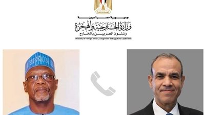 عبد العاطي يبحث مع وزير خارجية النيجر تعزيز التعاون الاقتصادي والتنموي