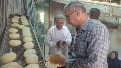 حملات تموينية مكبرة على الأسواق والمحال التجارية والمخابز بكفر الشيخ