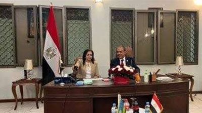 وزير الخارجية يلتقي ممثلين عن الجالية المصرية في رواندا