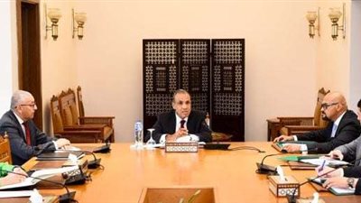وزير الخارجية يجتمع بقيادات الوزارة المعنيين بالتحول الرقمى للخدمات القنصلية