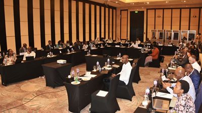 مصر تستضيف الاجتماع الأول لمجموعة عمل منصة AU3S لتعزيز اليقظة الصيدلية في إفريقيا