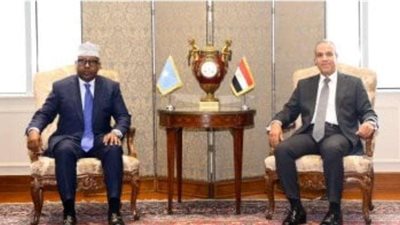 وزير الخارجية يؤكد لنظيره الصومالي تطلعه لاستمرار اللقاءات الدورية وتكثيف التشاور بين الجانبين