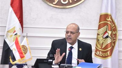 وزير العمل: كبرى الشركات بالعالم ودول أوروبا تطلب عقود عمل مع العمالة المصرية