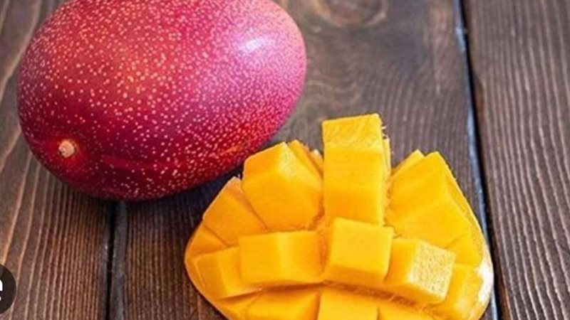 تراجع أسعار المانجو