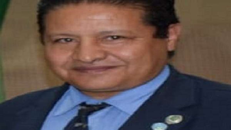 السفير مصطفي الشربيني