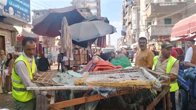 الوحدة المحلية لمركز ومدينة بدر تواصل جهودها في رفع الإشغالات