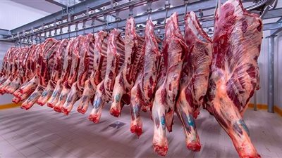 البلدي بـ 280 جنيه.. ​​​​​​​أسعار اللحوم اليوم الاثنين 19 أغسطس
