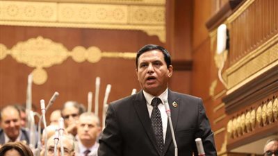 أمين عام حماة الوطن: إحالة توصيات الحوار الوطني للحكومة تفتح آفاقا جديدة لتعزيز حقوق الإنسان