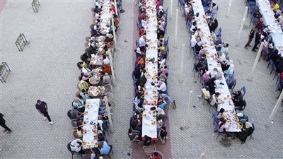 مجلس الشباب المصري: شراكتنا مع 