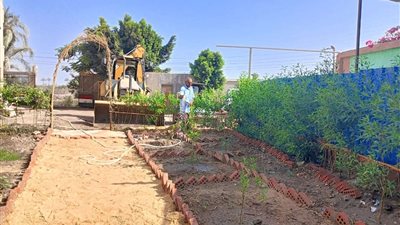 محافظ المنوفية يتابع جهود الوحدات المحلية فى تنفيذ أعمال مبادرة 100 مليون شجرة