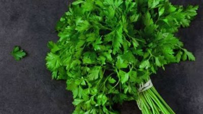 لماذا تراجعت جودة الخضروات الورقية؟.. أخصائيون يوضحون الأسباب