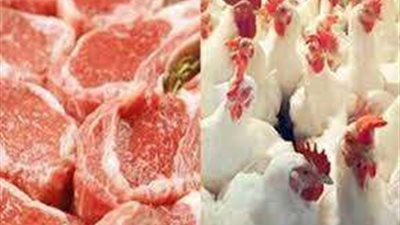 استقرار نسبي في أسعار اللحوم والدواجن.. تعرف على آخر التحديثات