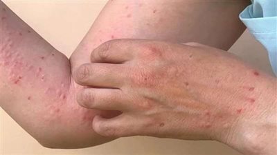 نتيجة لأعمال إنشائية.. هزة أرضية خفيفة تضرب جنوب شرق القاهرة