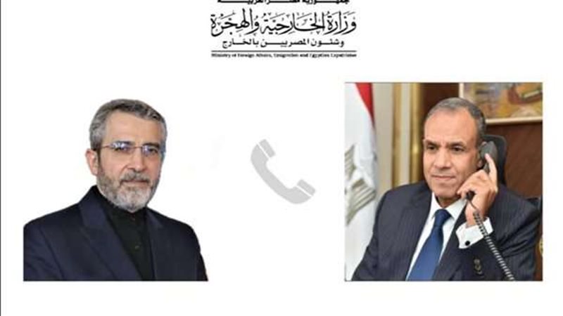 وزير الخارجية ونظيره