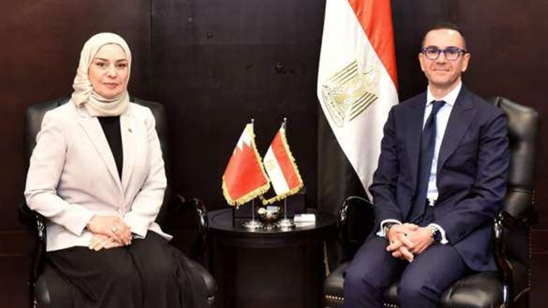 وزير الاستثمار و