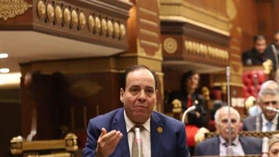 خاص| برلماني: مصر تقوم بمجهودات كبيرة للحفاظ على أمن المنطقة وعلى المجتمع الدولي دعم موقفها