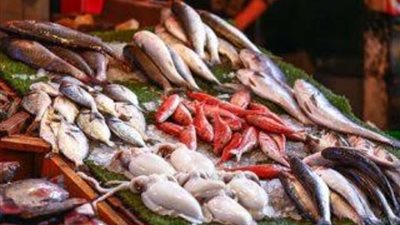 البوري بـ 140 جنيهًا .. أسعار الأسماك والجمبري في الأسواق اليوم الخميس 29 أغسطس 2024