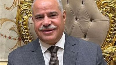 اللواء رأفت الشرقاوي يكتب .. تمخض الجبل فولد فأراً