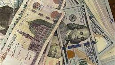 سعر الدولار في البنك المركزي مقابل الجنيه المصري اليوم الأربعاء 4-9-2024