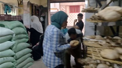 حملة مكبرة على مخابز تلا وتحرير 31 محضر تمويني وغلق مخبز بلدى