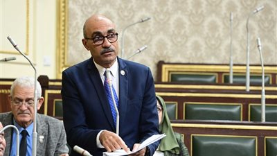 برلماني يطالب بسرعة إدراج فاقدي العين الواحدة ضمن قانون ذوي الإعاقة