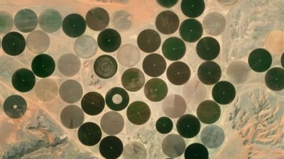 خاص| صحراء مصر تُزهر.. 660 ألف فدان بالأراضي الحدودية تحول الرمال الصفراء إلى جنة خضراء