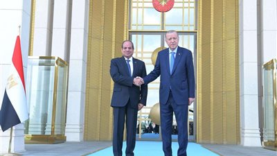 الوليلي يشيد باتفاق السيسى وأردوغان على زيادة حجم التجارة البينية إلى 15 مليار دولار