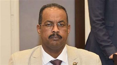 علي نور: المشروعات القومية أتت ثمارها الاقتصادية وتوجيهات الرئيس في مجال الاستثمار دفعة قوية