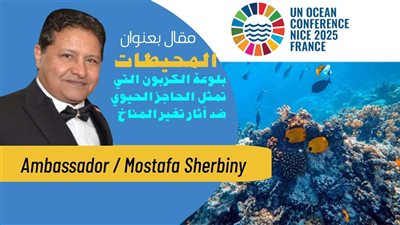 السفير مصطفى الشربيني يكتب: المحيطات بلوعة الكربون التي تمثل الحاجز الحيوي ضد آثار تغير المناخ