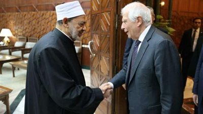 شيخ الأزهر للممثل الأعلى للاتحاد الأوروبي: هل هناك حل للمهزلة التاريخية التي نراها في غزة؟!