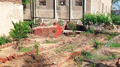 محافظ المنوفية يتابع تنفيذ أعمال المبادرة الرئاسية لزراعة 100 مليون شجرة