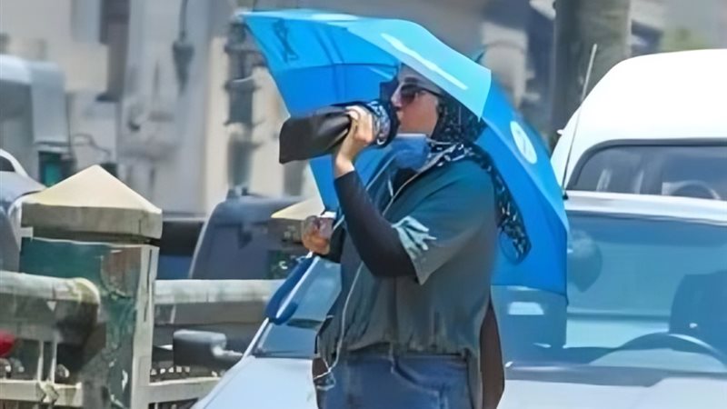 صيفي معتدل.. تفاصيل