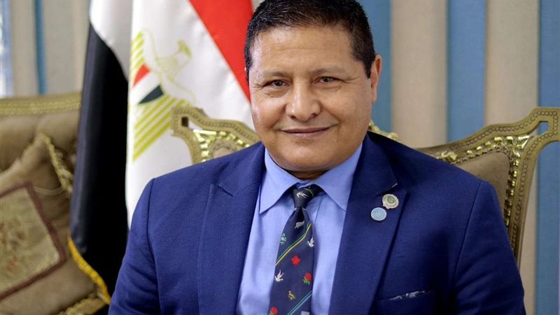 السفير مصطفى الشربيني
