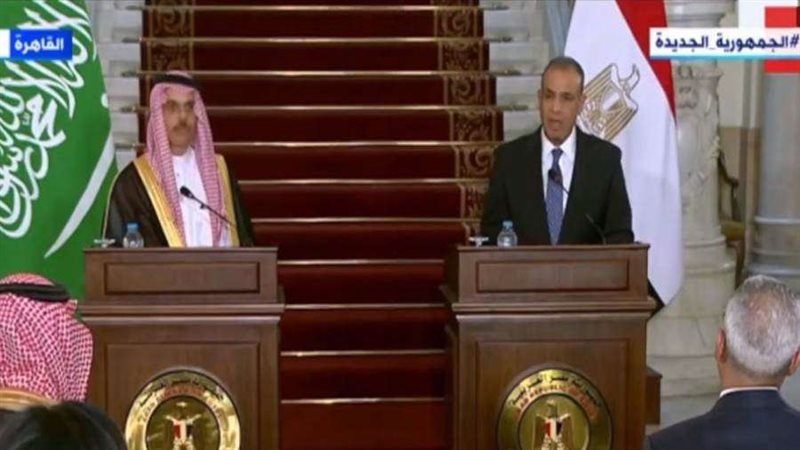 وزير الخارجية المصري