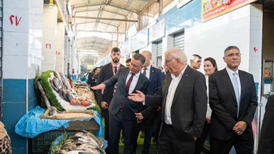 رئيس ألمانيا في 