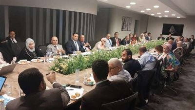 باسل عادل: لجنة طوارئ 