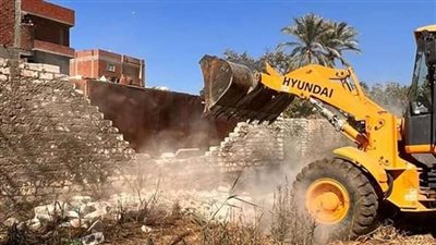 تعليق دعم الأسمدة حتى البت في قضايا التعدي على الأراضي وسرقة الكهرباء