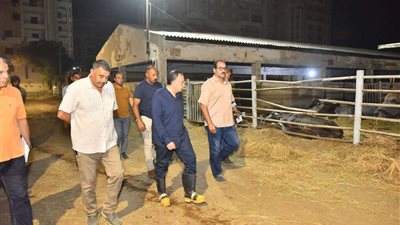 محافظ أسيوط يؤكّد تسخير كافة الإمكانيات لتطوير محطات الثروة الحيوانية وزيادة انتاجيتها