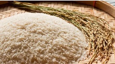 استقرار أسعار الأرز الأبيض والأرز الشعير بالأسواق