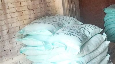 تحرير 293 محضر تمويني وضبط 5 طن لحوم مجهولة المصدر بالمنوفية