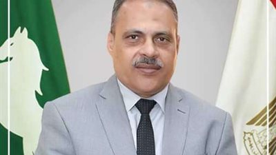 محافظ الشرقية يهنئ الرئيس السيسي بذكرى المولد النبوي الشريف