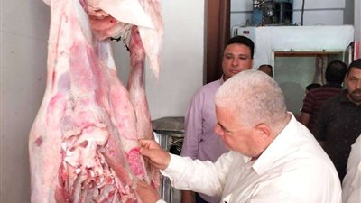 تحرير 241 محضر تمويني لمزاولة النشاط بدون ترخيص بالمنوفية