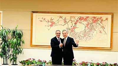 وزير الخارجية لنظيره الصيني: لن نتهاون في قضية سد النهضة الإثيوبي