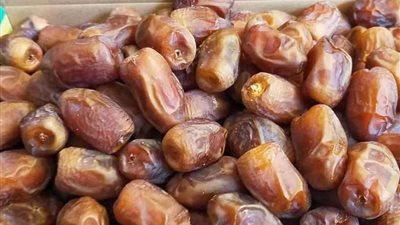 فرحة عارمة للمزارعين ..ارتفاع أسعار البلح بالوادي الجديد وسط زيادة الطلب المحلي والعالمي