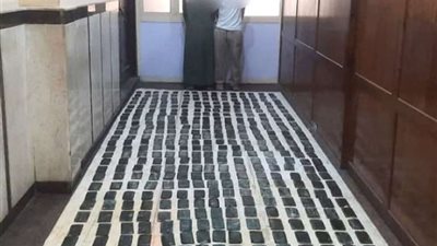 أجهزة الأمن تضبط مخدرات بقيمة 3 مليون جنيه بالعامرية