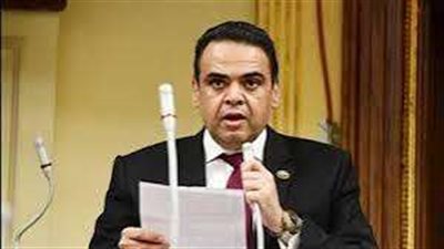 برلماني : مشاركة منتدى شباب العالم في قمة المستقبل تعكس التزام مصر بتعزيز جهود التنمية المستدامة