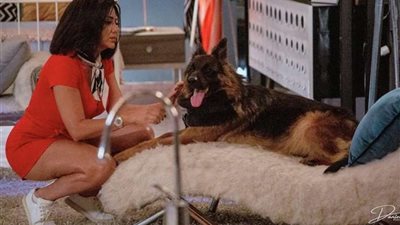 خاص/ أشرف زكي يكشف السبب وراء إحالة أبطال 